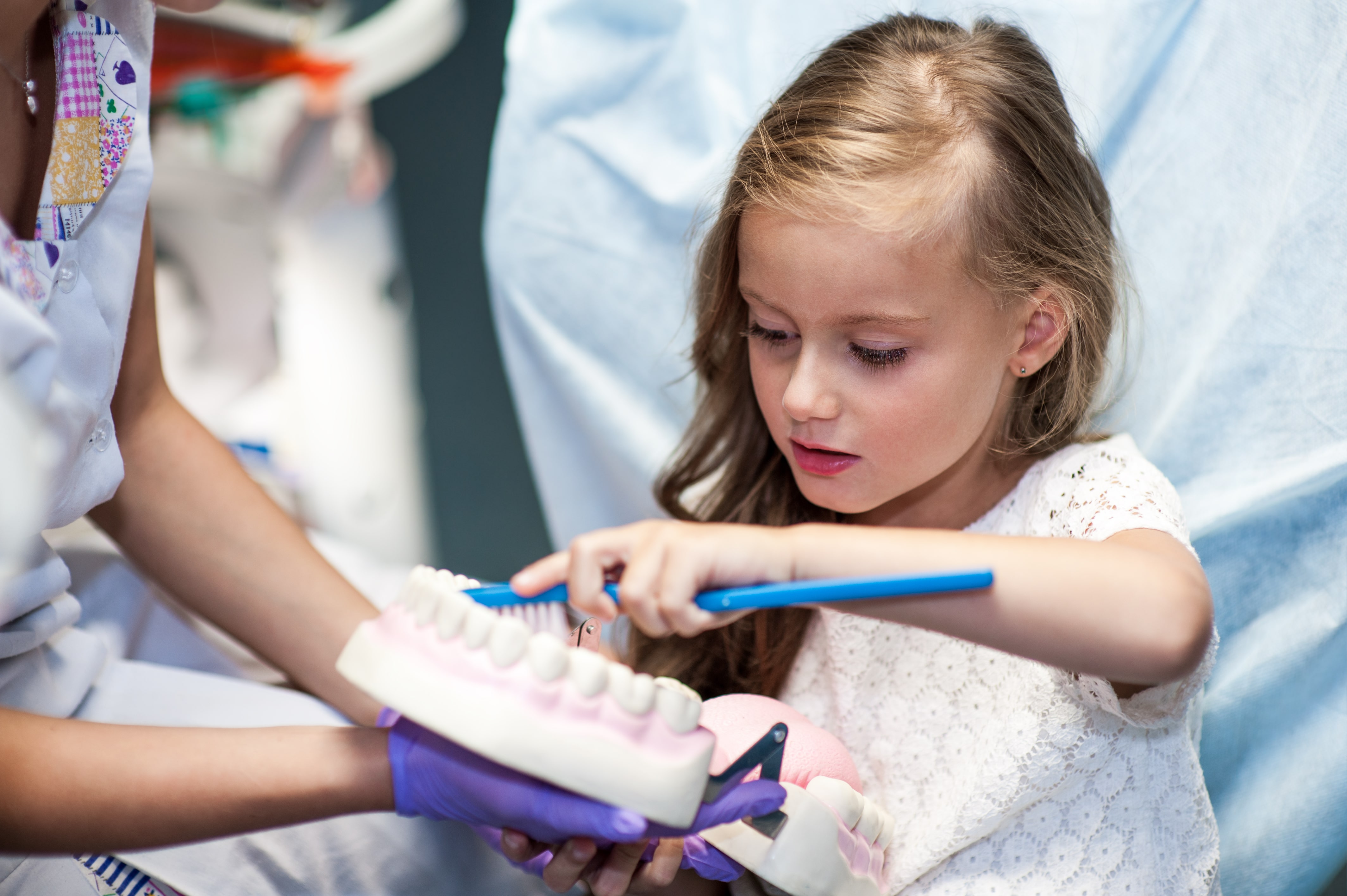 Child Brushing Sample Teeth — Dental Care in QLD